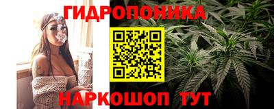 эйфоретик Краснознаменск